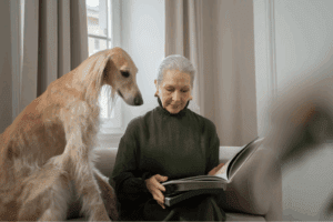 Elderly travelling with pets