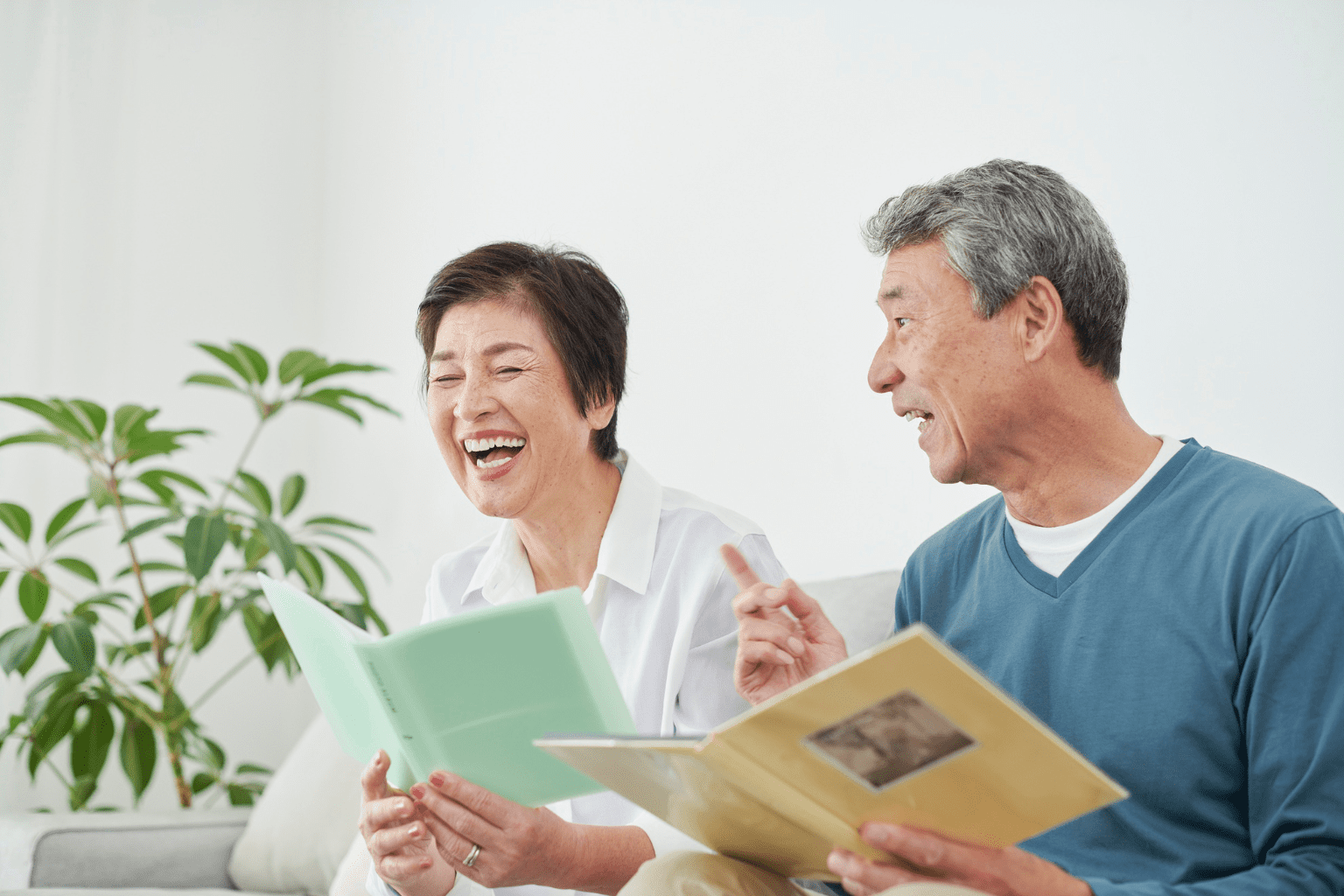 Vip elderly brain nutritions