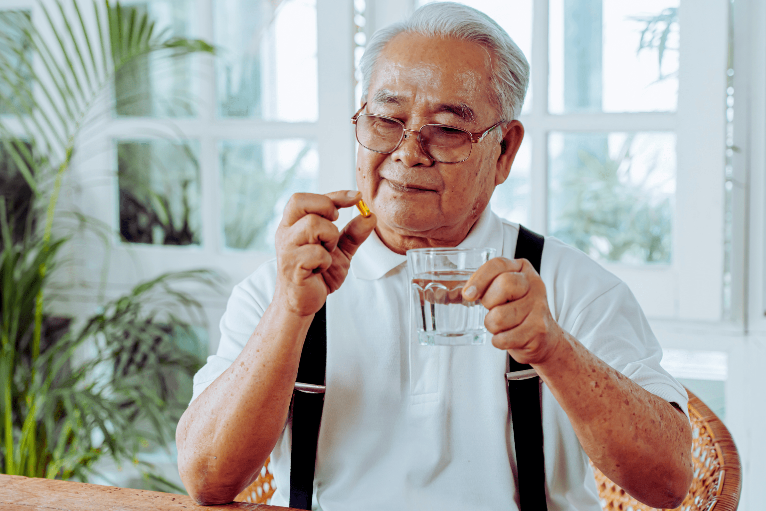 Vip elderly food supplements for elderly
