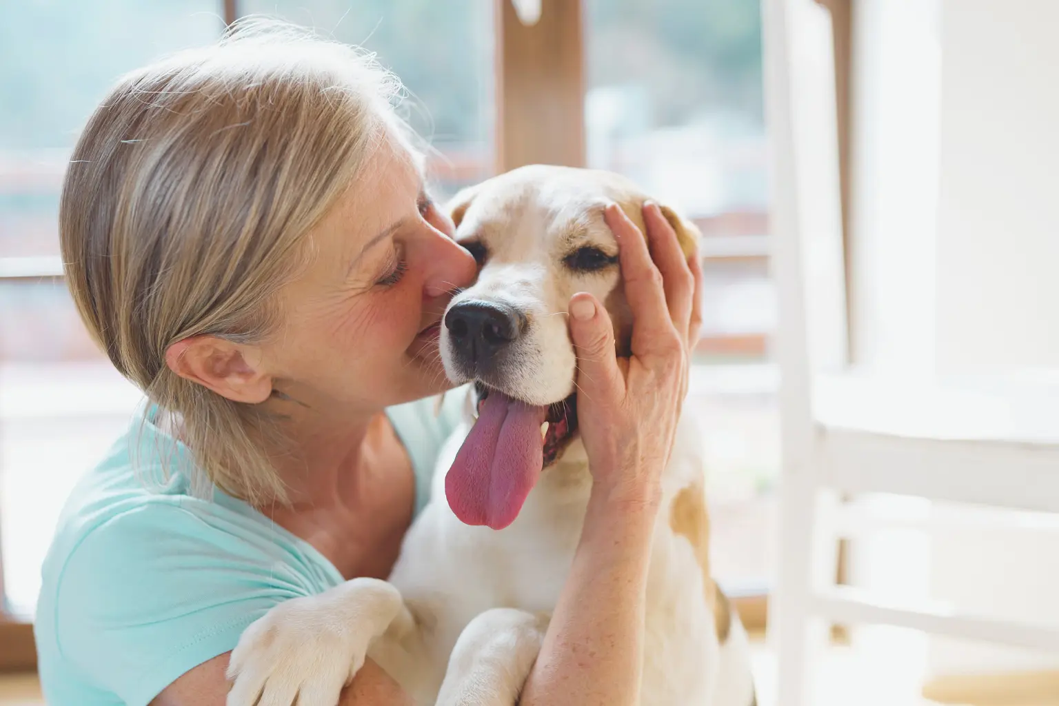 Vip elderly senior volunteering at animal shelter