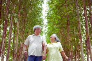 Vip elderly walking routines for seniors