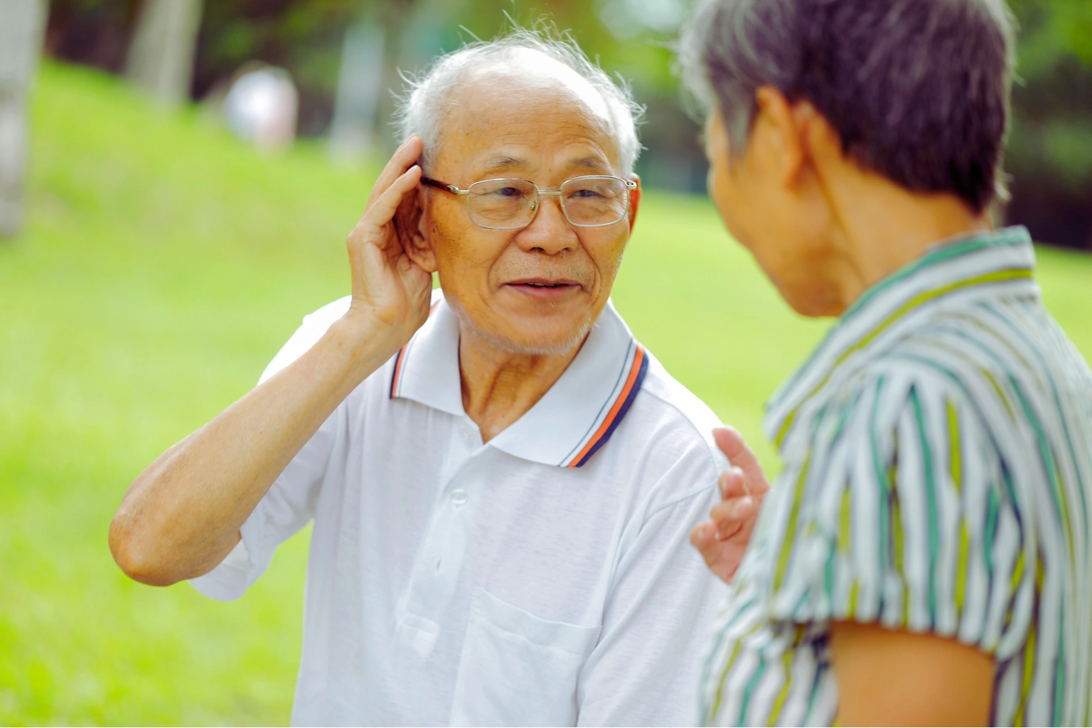 Vip elderly hearing loss prevention diet