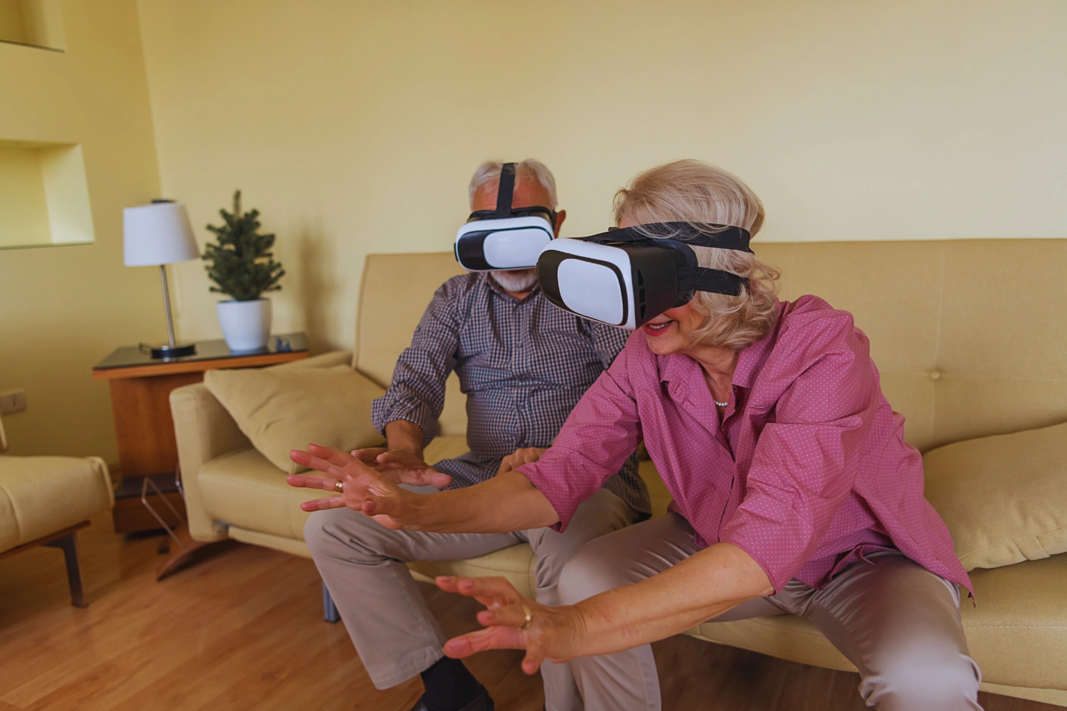 Vip elderly virtual reality elderly