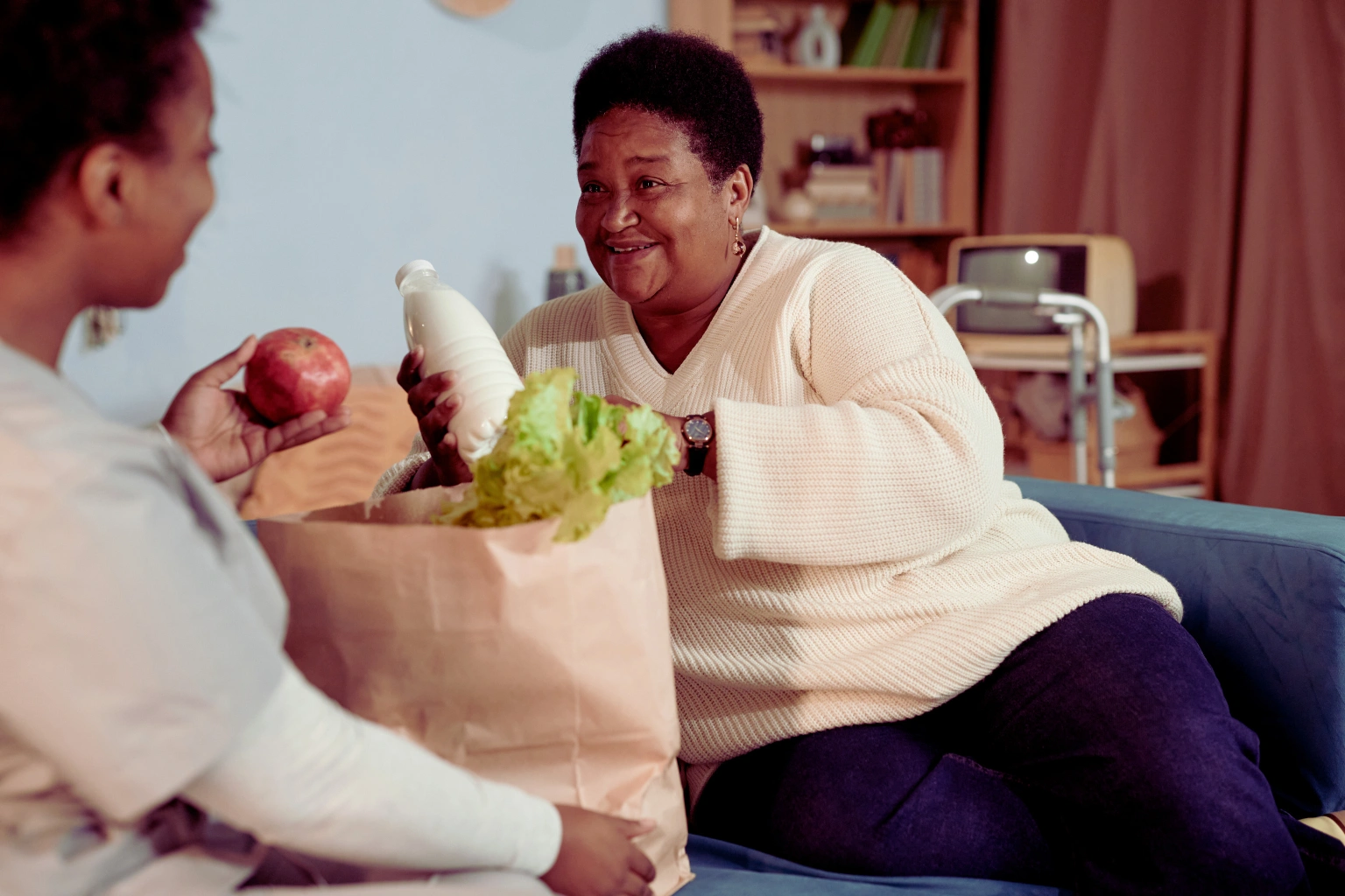 Vip elderly grocery apps for seniors