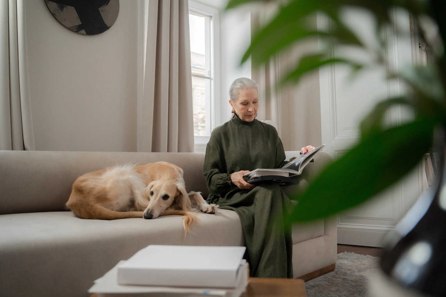 Vip elderly estate plan for pets